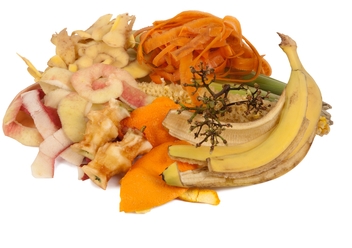 food scraps